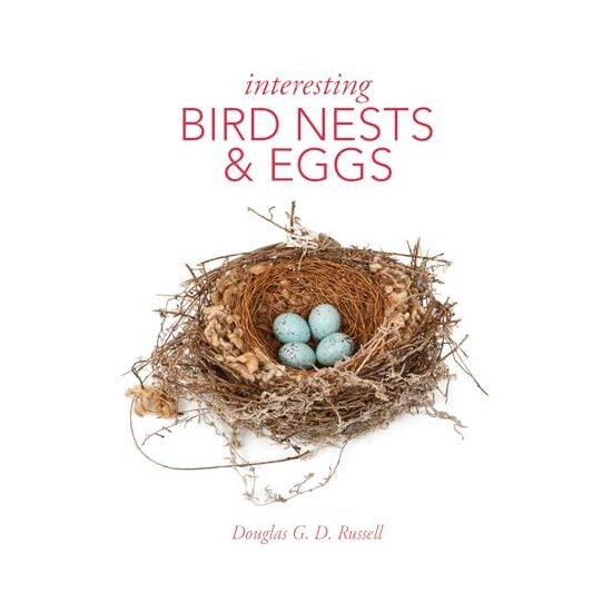 Interesting Bird Nests and Eggs