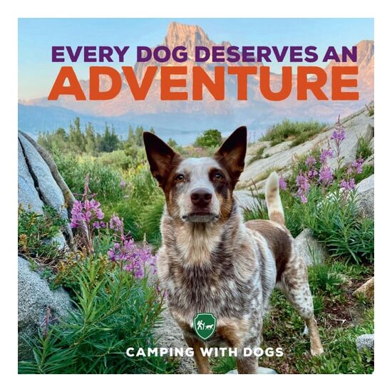 Every Dog Deserves an Adventure - Imagine 1