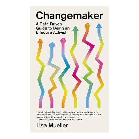 Changemaker A New Guide for Activists