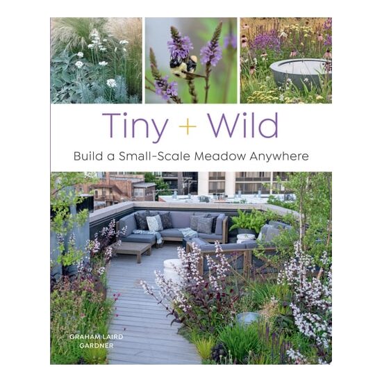 Tiny and Wild Build a Small-Scale Meadow Anywhere