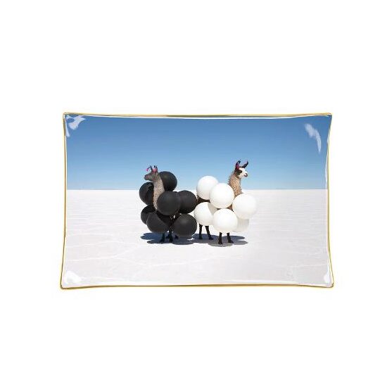 Gray Malin Llamas Porcelain Tray