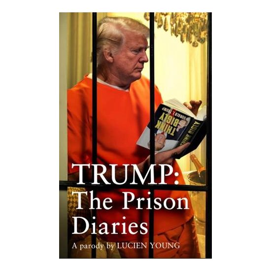 Trump: the Prison Diaries Satire Hole Guy clink