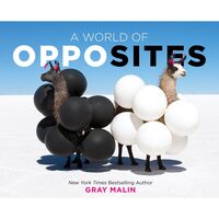 A World of Opposites A Picture Book