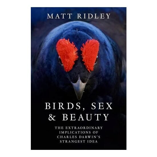 Fourth Estate Birds, Sex and Beauty.