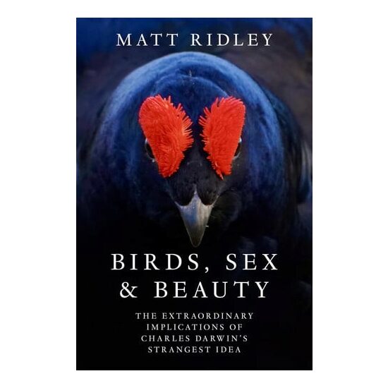 Fourth Estate Birds, Sex and Beauty.