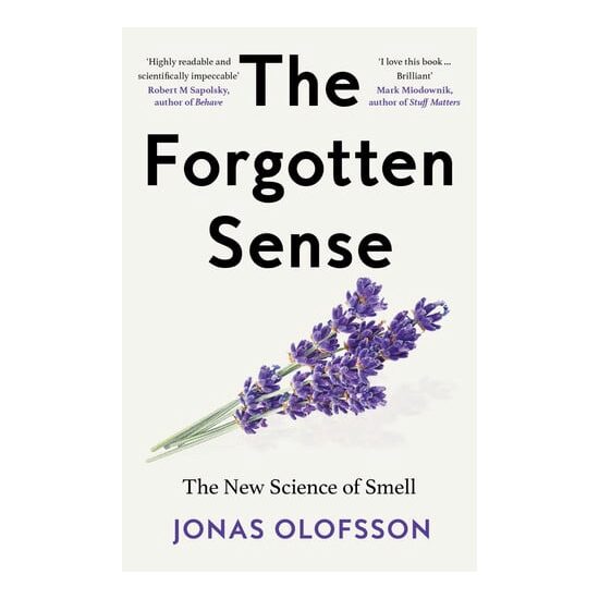The Forgotten Sense