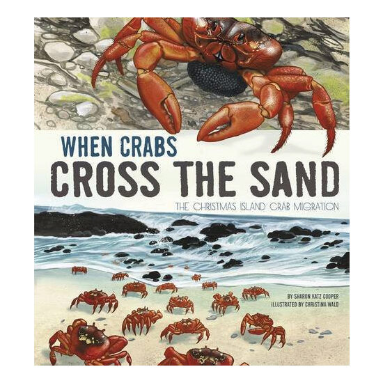 When Crabs Cross the Sand - Imagine 1