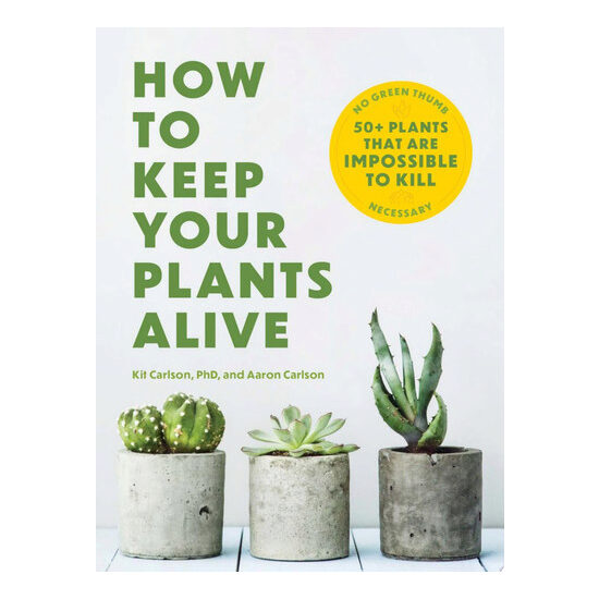 How to Keep Your Plants Alive 50 Plants That Are Impossible to Kill