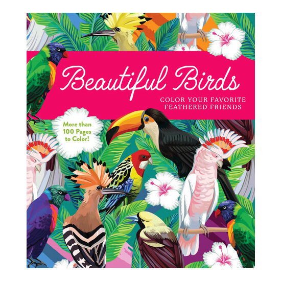 Beautiful Birds Color Your Favorite Feathered Friends - More Than 100 Pages to Color!