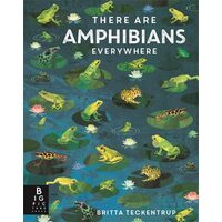 There Are Amphibians Everywhere