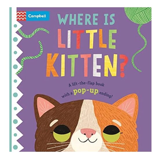 Where Is Little Kitten?