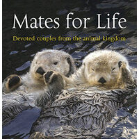 Mates for Life: Devoted Couples from the Animal Kingdom