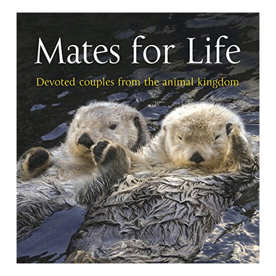 Mates for Life: Devoted Couples from the Animal Kingdom