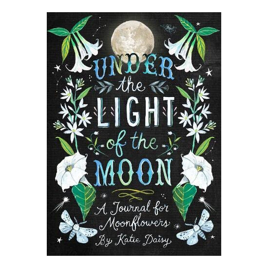 Under the Light of the Moon