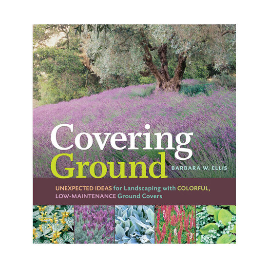 Covering ground: unexpected ideas for landscaping with colorful, low-maintenance ground covers