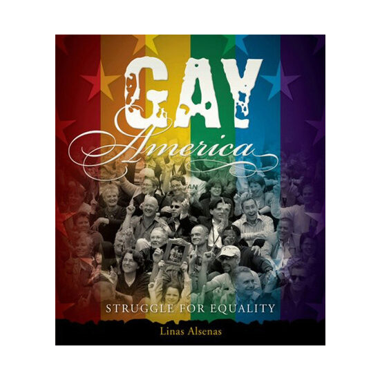 Gay America: struggle for equality