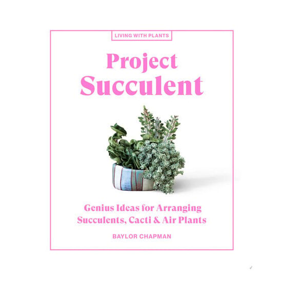 Project succulent : genius ideas for arranging succulents, cacti & air plants