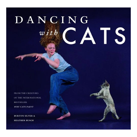 Dancing with cats