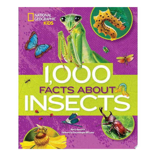 1,000 facts about insects
