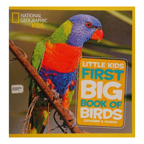 Little kids first big book of birds