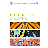 Butterflies & moths