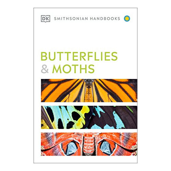 Butterflies & moths