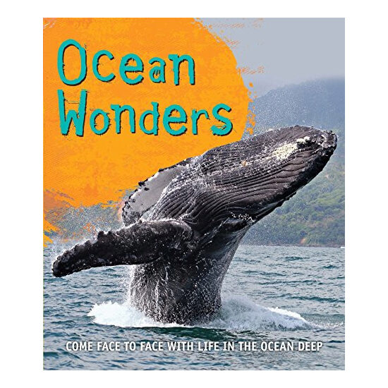 Ocean wonders