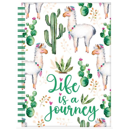 Llamas & Cactus