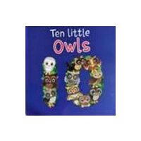 Ten Little Owls