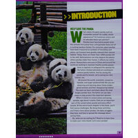Panda rescue: all about pandas and how to save them