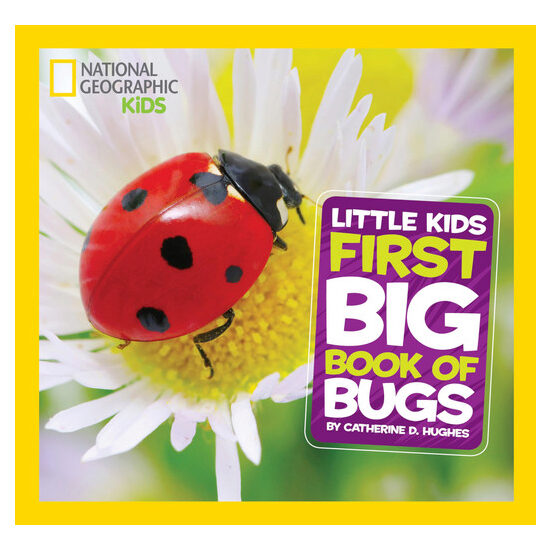 Little kids first big book of bugs