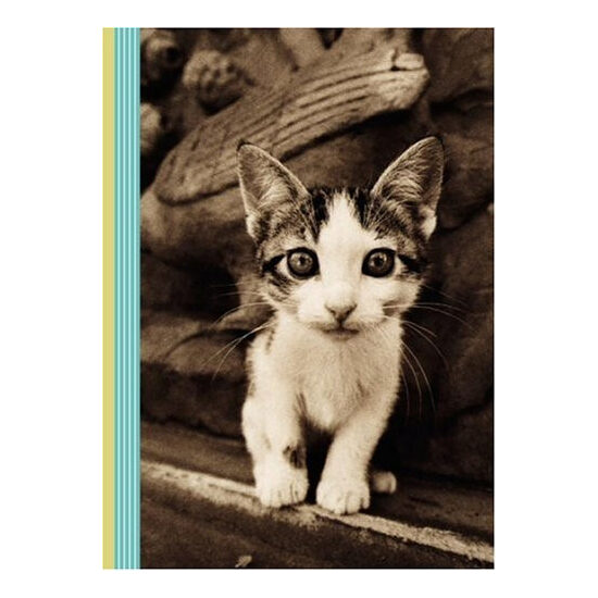 Kitten Smitten Journal