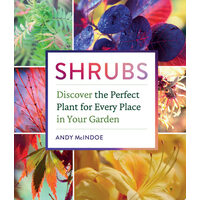 Shrubs: discover the perfect plant for every place in your garden