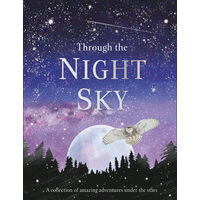 Through the night sky