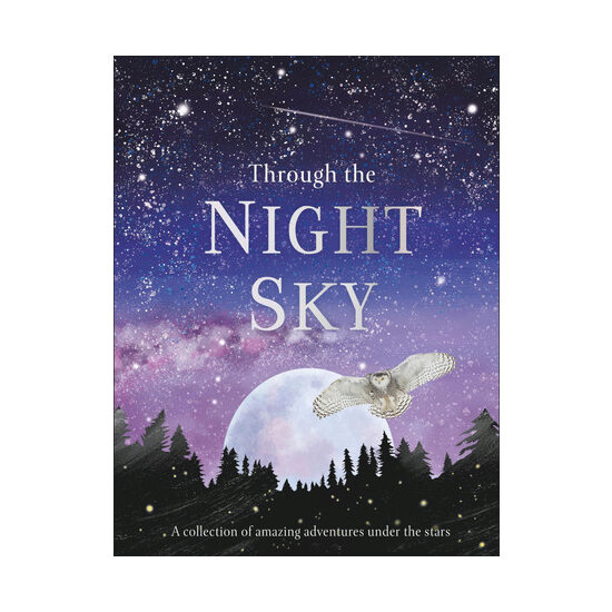 Through the night sky