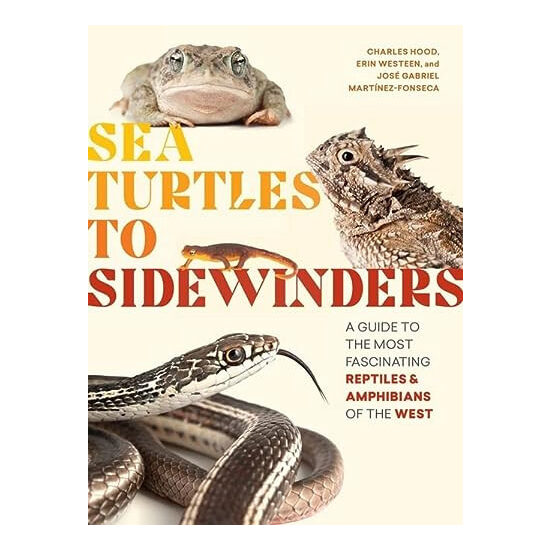 Sea turtles to sidewinders: a guide to the most fascinating reptiles & amphibians of the west