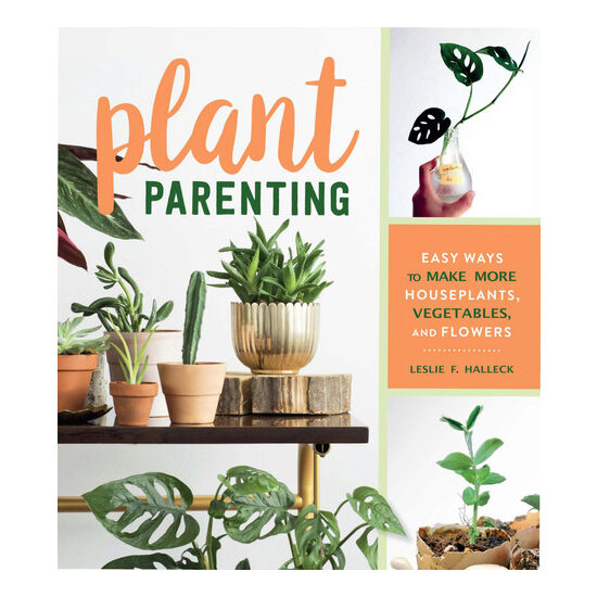Plant parenting: easy ways to make more houseplants, vegetables, and flowers
