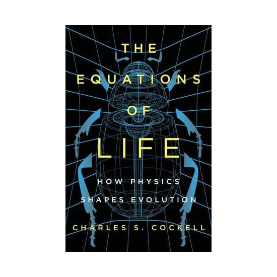 The equations of life: how physics shapes evolution