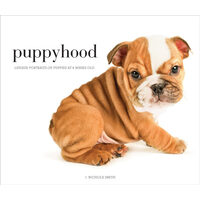 Puppyhood: life-size portraits of puppies at 6 weeks old