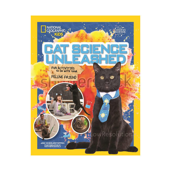 Cat science unleashed: fun activities to do with your feline friend