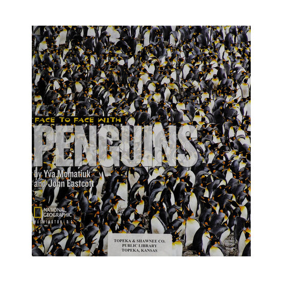 Face to face with penguins