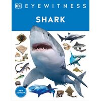 Shark Dive into the fascinating world of sharks