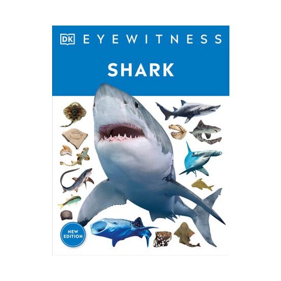 Shark Dive into the fascinating world of sharks