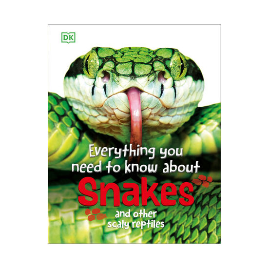 Everything you need to know about snakes and other scaly reptiles