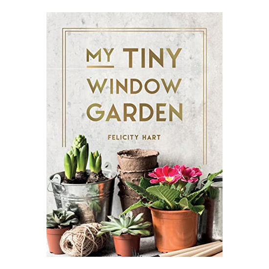 My tiny window garden