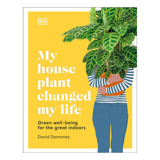 My houseplant changed my life: green well-being for the great indoors