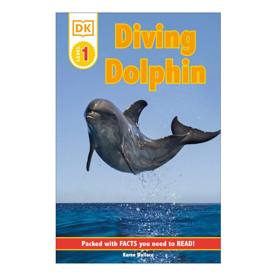 Diving dolphin