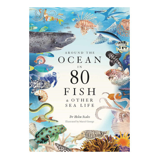 Around the ocean in 80 fish and other sea life
