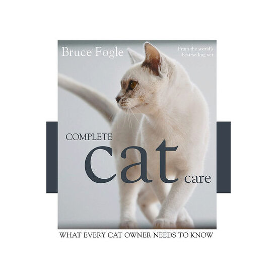 Complete cat care: what every cat lover needs to know