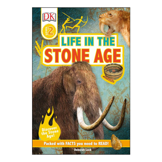 Life in the Stone Age